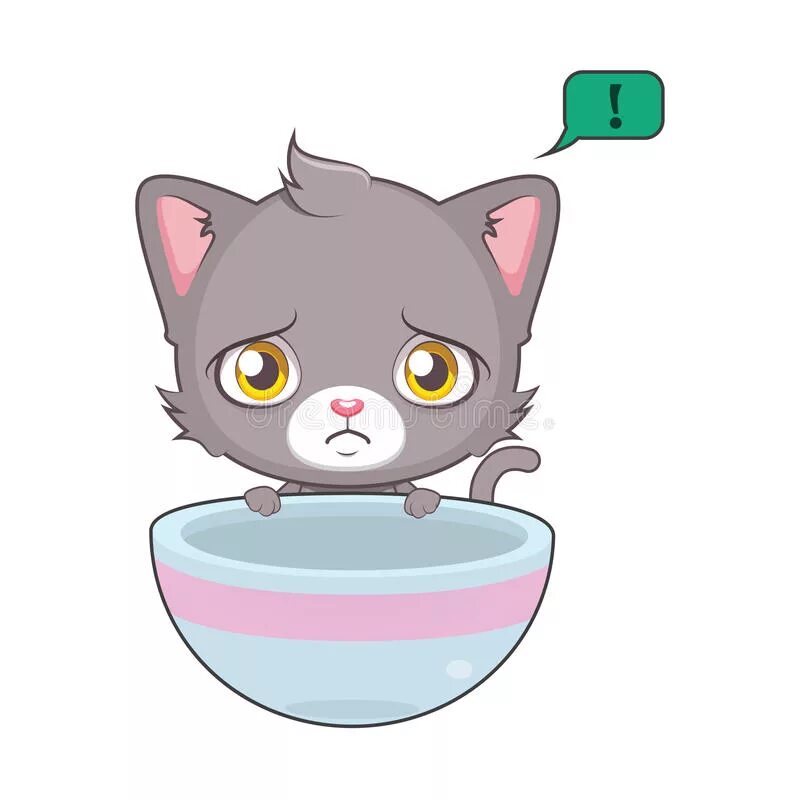 Empty cat. Уьзен cat а прозрачном фоне.