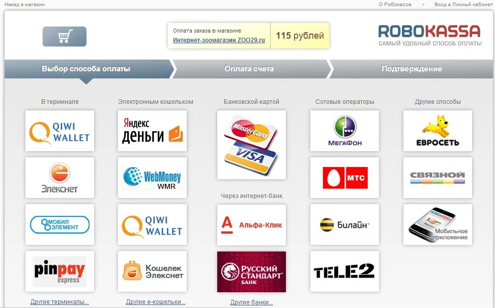 Оплата через электронный магазин. Способы оплаты. Терминал оплаты электронных кошельков. Оплата электронным кошельком. Электронный способ оплаты.
