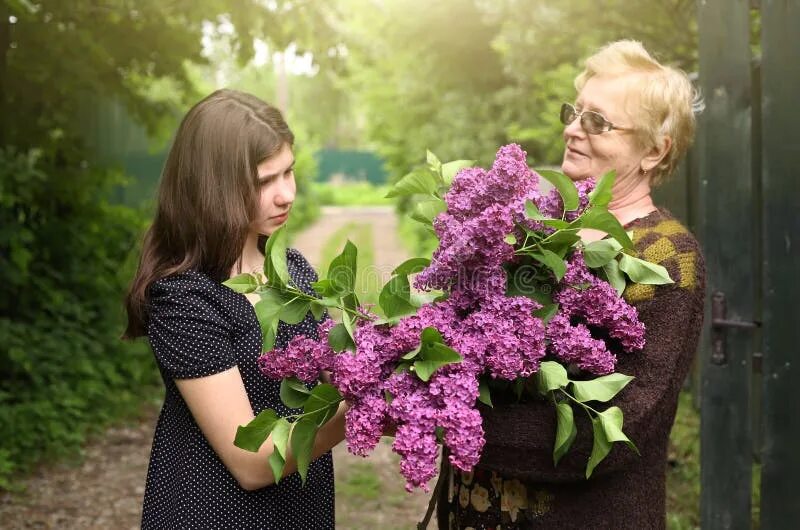 Сирень бабушки. Девушка с букетом сирени. Для бабушки сирени букет. Бабушка с сиренью. Сирень с пожилой женщиной.