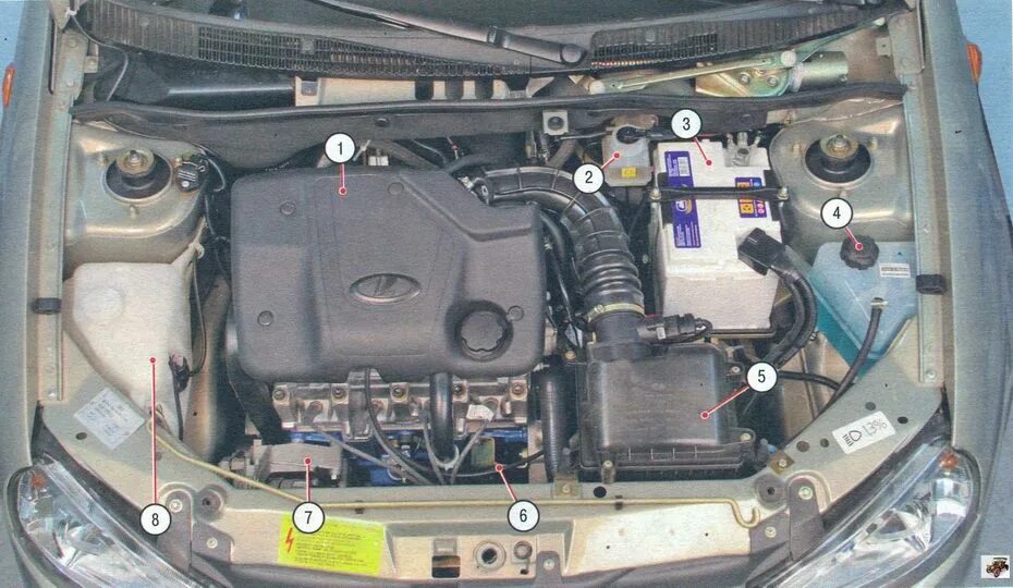 где находится город калина. где находится город калина. невинномысск на карте россии. подкапотное пространство ваз 1118 калина. рязанская область на карте россии.