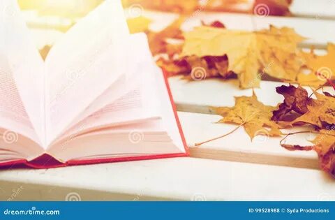 Книга осень