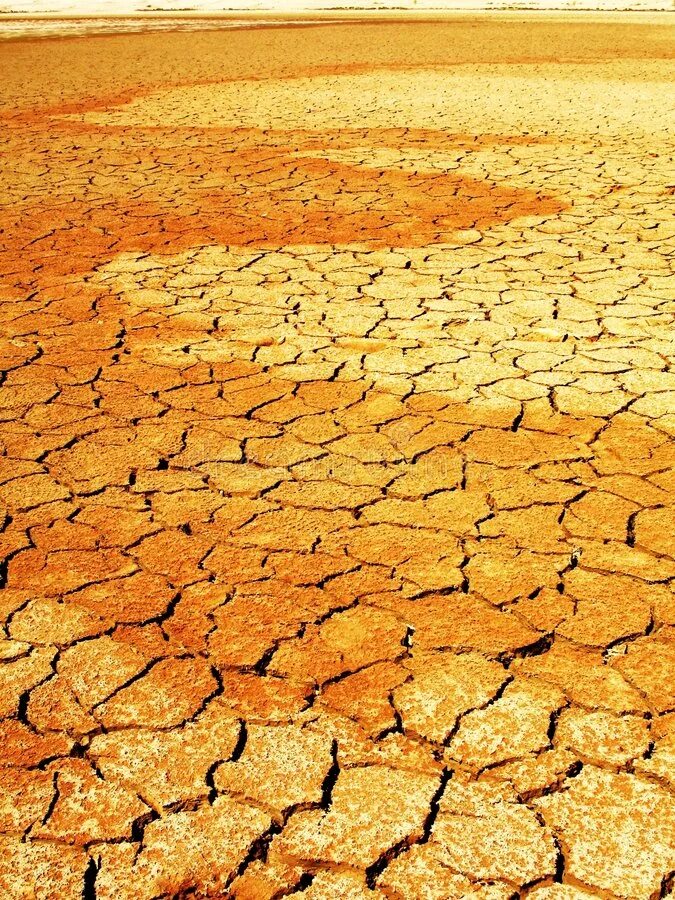 Ковер высох. Пустыня засуха. Засохшее поле. Намибия высохшее озеро. Засуха в пустыне фото.