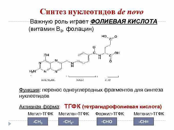 Фолиевая кислота в синтезе нуклеотидов. В12 Синтез нуклеотидов. Витамин в9 Синтез биохимия. Тетрагидрофолиевая кислота активная форма витамина в9.