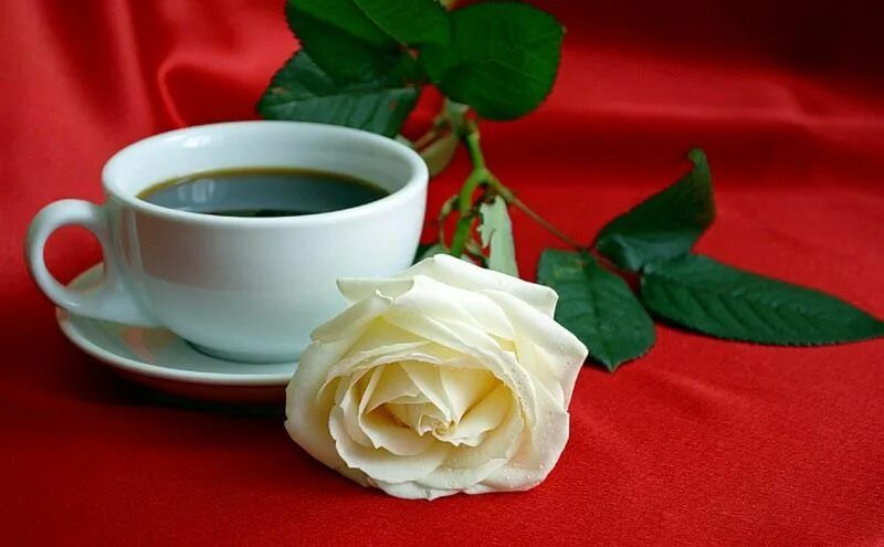 Доброе утро любимая розы. Чашка кофе с добрым утром. Доброе утро розы и кофе.
