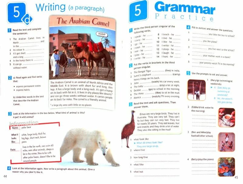 English workbook 5. 5 Класс англ раб тетрадь ваулина. Английский язык 5 класс рабочая тетрадь ваулина стр 45. Spotlight 5 Workbook английский язык Эванс. Английский 5 класс рабочая тетрадь 44.