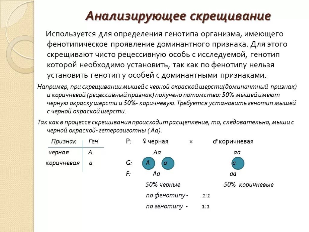 Проявление признака в первом поколении. Задачи по генетике 9 класс биология. Анализирующее скрещивание это скрещивание исследуемой особи с. Анализирующее скрещивание это в биологии задачи \. Задачи по генетике человека.