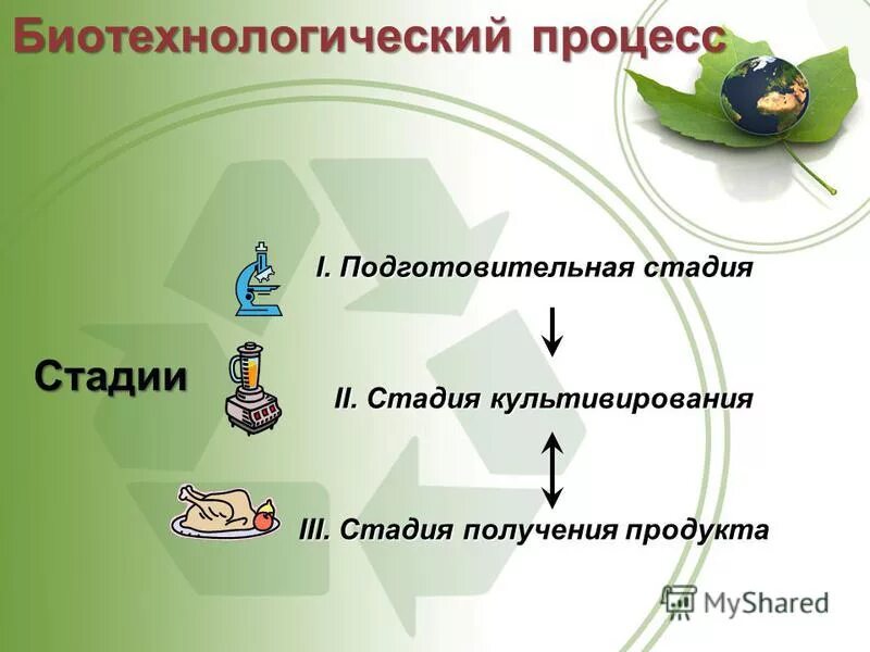 Продукты подготовительного этапа