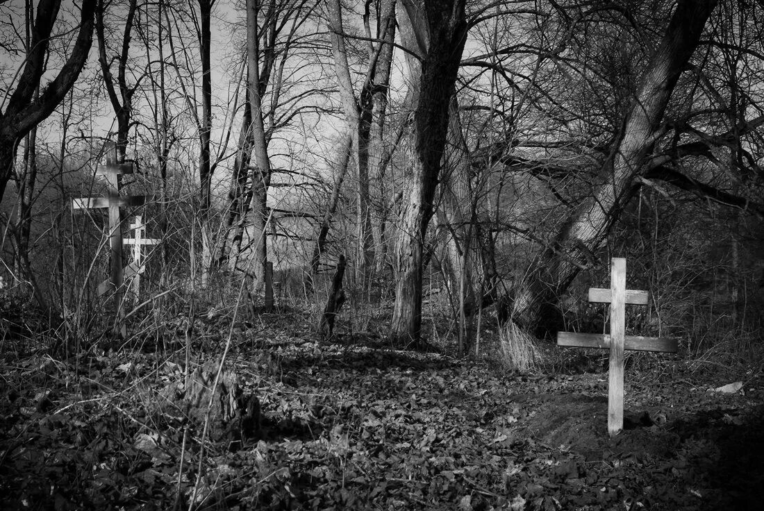 Старое кладбище, деревня старый Погост. Призрак Никольского кладбища.