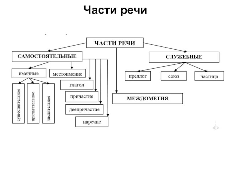 Схема частей речи в русском языке 3 класс. Схема частей речи в русском языке 4 класс. Самостоятельные части речи схема. Схема самостоятельные и служебные части речи.