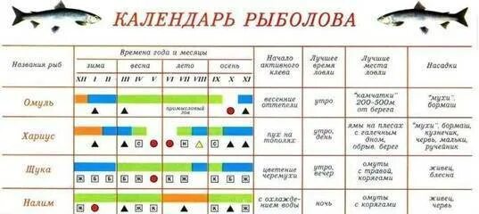 Прогноз клева в оренбургской. Календарь рыболова. Таблица рыболова. График ловли щуки по месяцам. Лунный календарь клева хариуса.