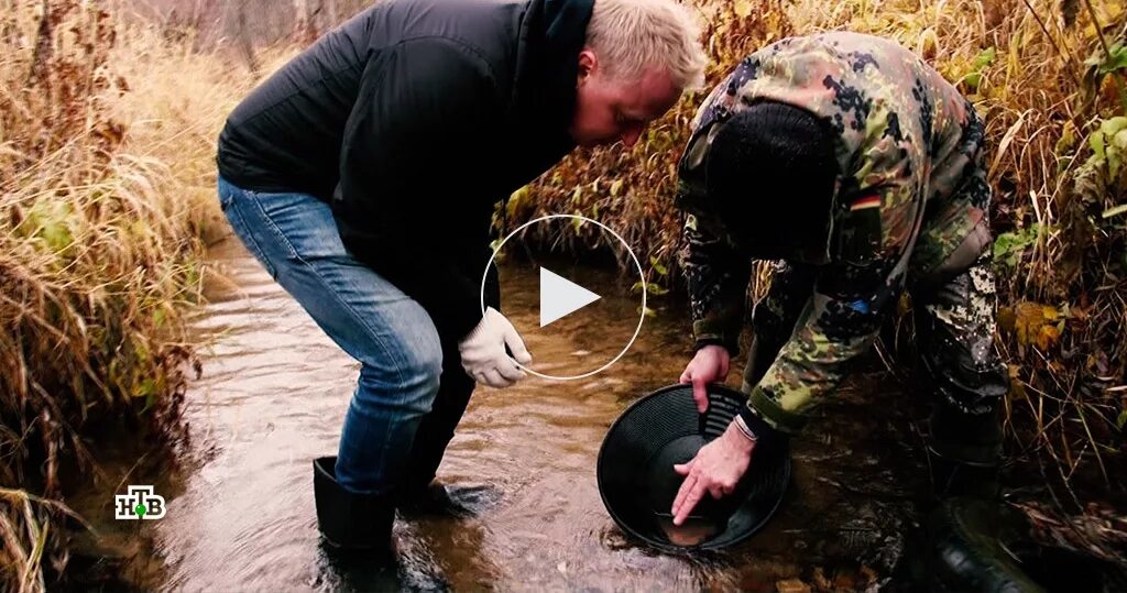 Старатель видео
