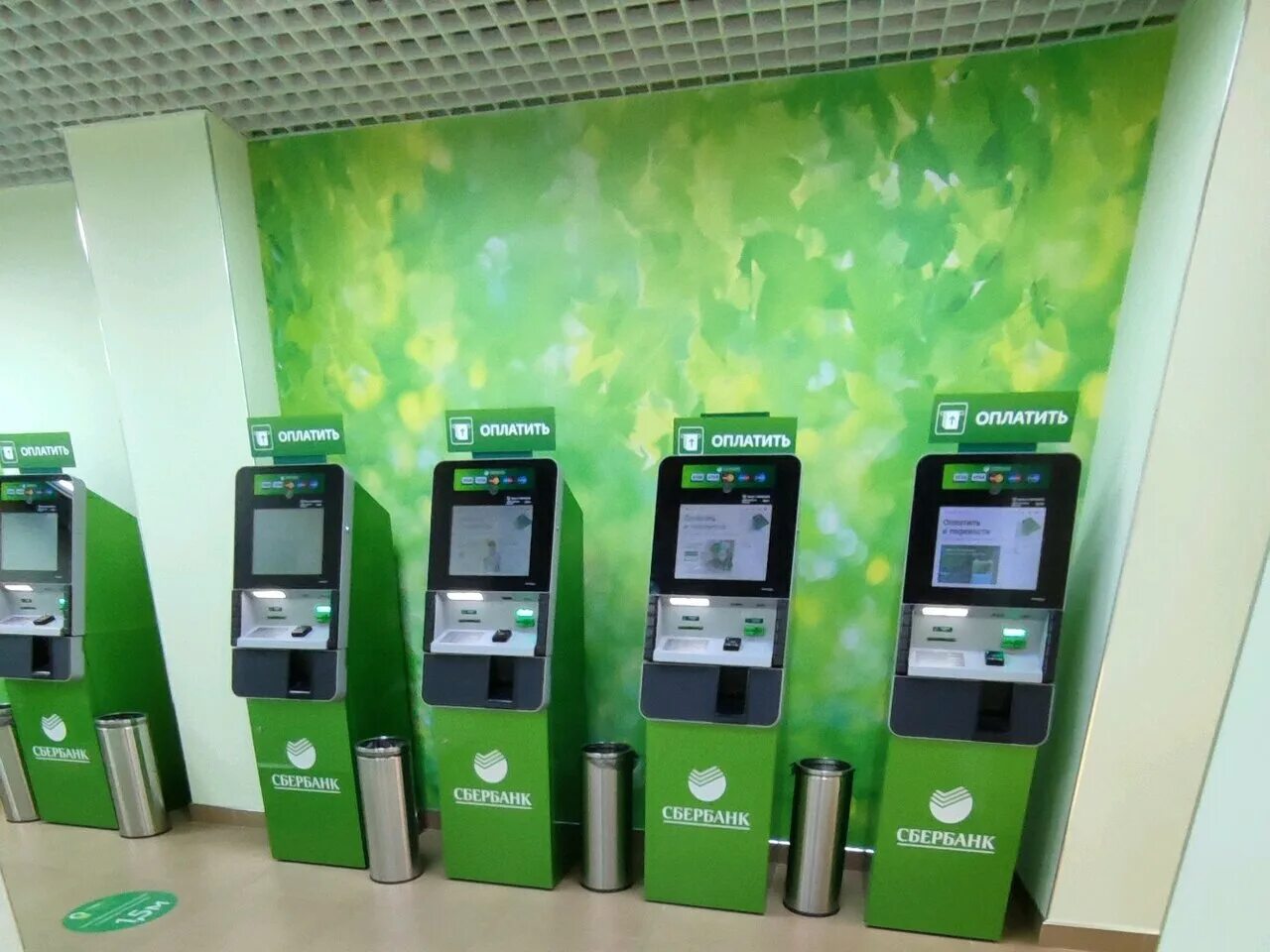 ленинский проспект 45 сбербанк. воронеж ломоносова 83в вайлдберриз. сбербанк на ворошилова воронеж. сбербанк работа. 9 января, 28.