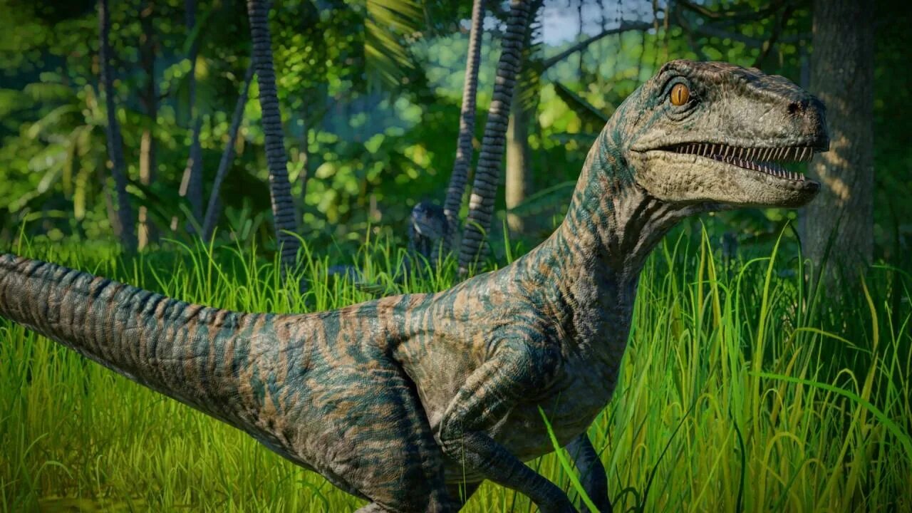 Динозавр велоцераптор. Jurassic World Evolution Велоцираптор. Jurassic World Evolution Велоцираптор Блю. Велоцераптор Jurassic World Evolution. Блю Раптор Jurassic World Evolution.