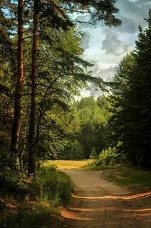 Природа картинки простое