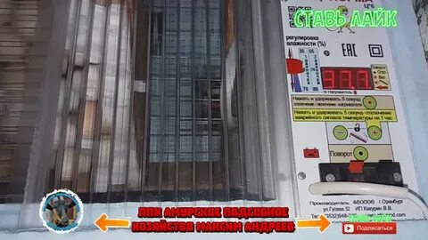 Инкубатор блиц температура