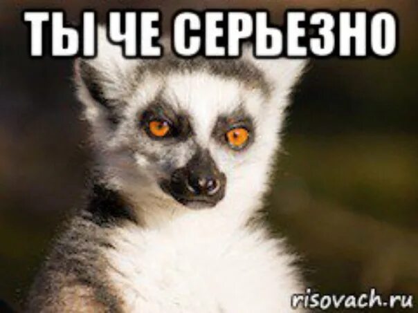 Почему Не Хотят Делать Куни