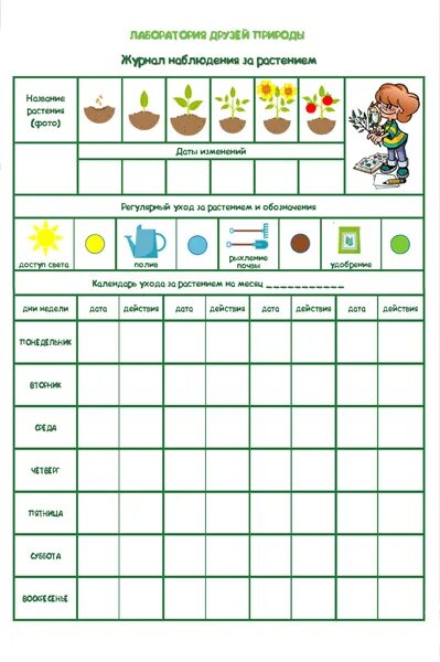 Дневник наблюдений в детском саду старшая. Календарь наблюдений за рассадой в детском саду. Дневник наблюдений за цветами. Календарь роста растений в детском саду.