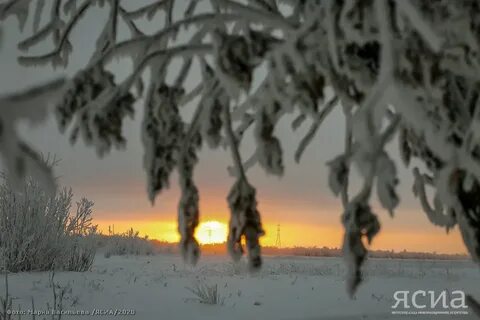 Морозное дыхание еще свежо