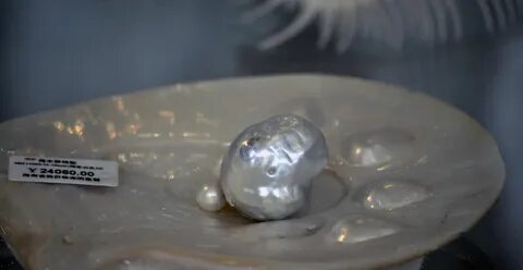 Крупнейшая жемчужина