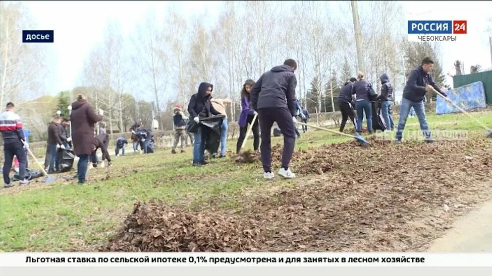 С 25 октября прошло. Субботник в городе. Субботник в парке. Школьники на субботнике. Фото субботника в городе.