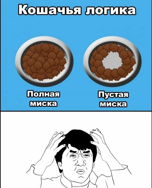 Точно логика. Отсутствие логики. Логика это наука. Логика мем. Точно логика.