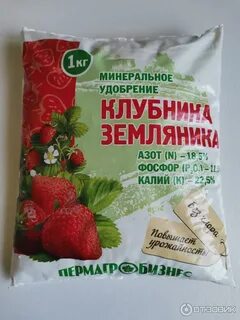 Земляника пермь