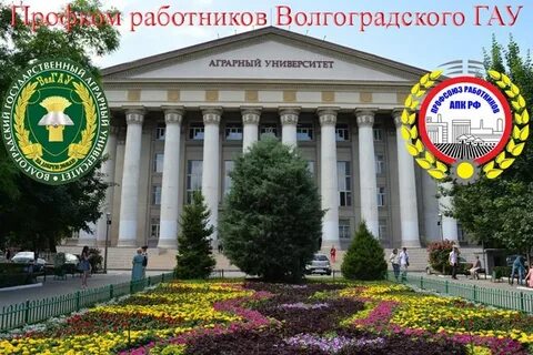 Непрерывное образование волгау