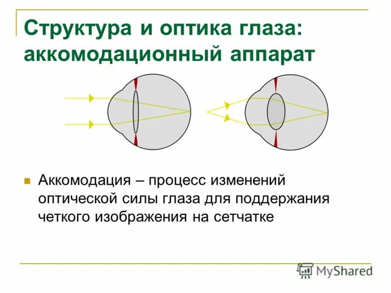 Оптическая структура