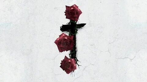 Rough roses