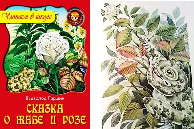 Сказка о жабе. Гаршин сказка о жабе и розе. гаршин сказка о жабе и розе книга. жаба и роза гаршин. всеволод михайлович гаршин сказка о жабе и розе.