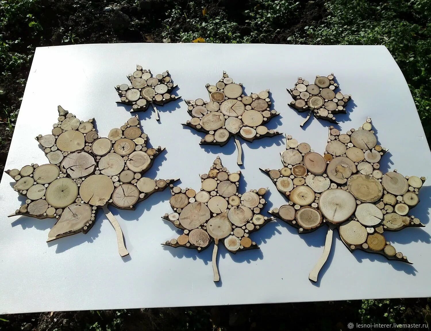 Поделки из спилов. Спилы дерева для детского сада. Спилы в детском саду. Спилы дерева для декора. Изделия из срезов дерева.