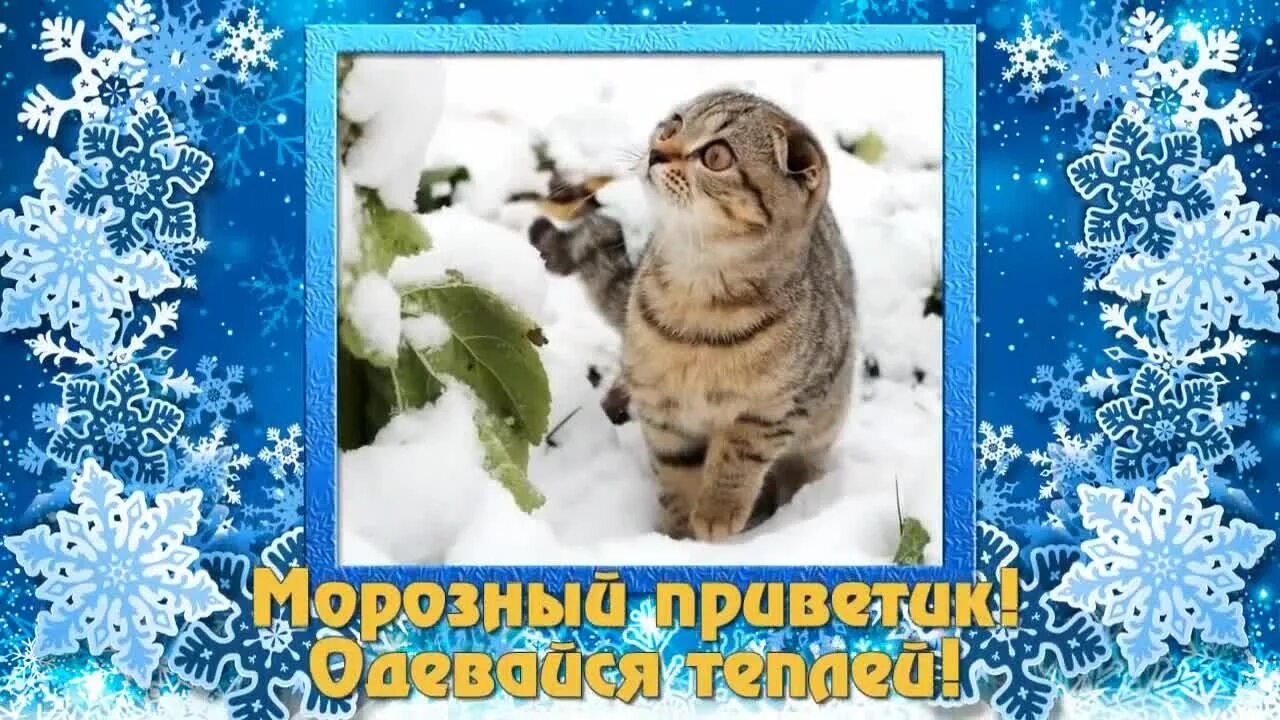 С добрым зимним утром вторника. Хорошего зимнего вторника отличного настроения картинки. Пожелания хорошего дня зима. Отличного последнего дня зимы. Зимнего настроения и хорошего дня.