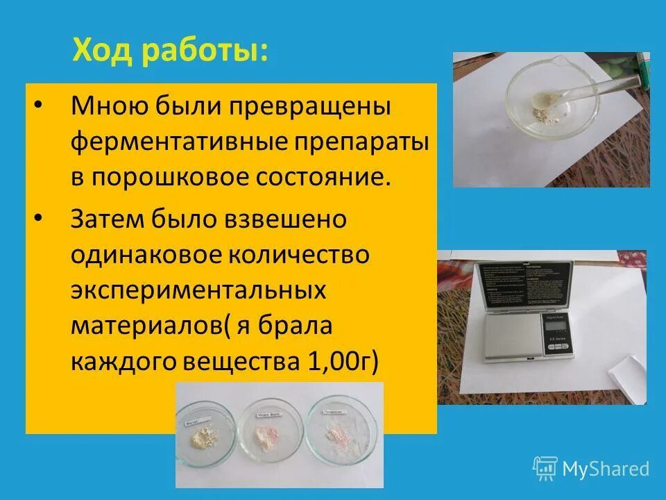 Изучение каталитической активности