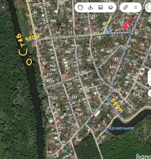 Карта березы