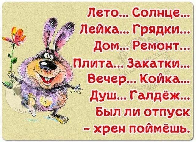 Август открытки прикольные для настроения. Смешные афоризмы про жару. прикольные открытки. прикольные высказывания про жару. цитаты про жару и лето прикольные.