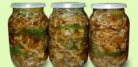 Через сколько едят маринованные грибы