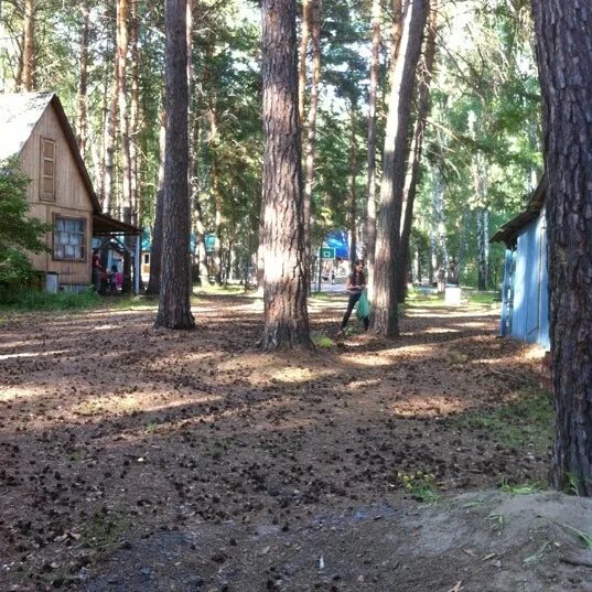 П шарап. База бухта в шарапе. сткд лагерь шарап. оздоровительный лагерь в деревне шарап новосибирск. шарап фото.