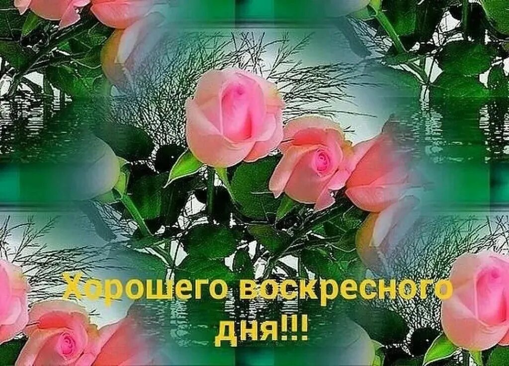 Спокойствия в душе и хорошего. Открытки душевного спокойствия. Покой в душе цитаты. Хуже всего изображать спокойствие. Позитивные высказывания.
