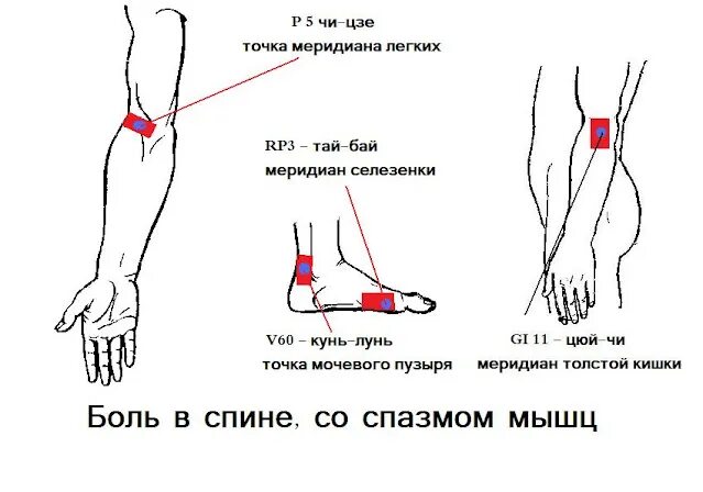 Точка это. Болевые точки при боли в пояснице. Точечный массаж Акупрессура при болях в спине. Акупунктурные точки при боли в пояснице. Акупунктурные точки боль в пояснице.