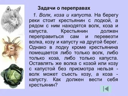 Загадка про лодку козу волка и капусту