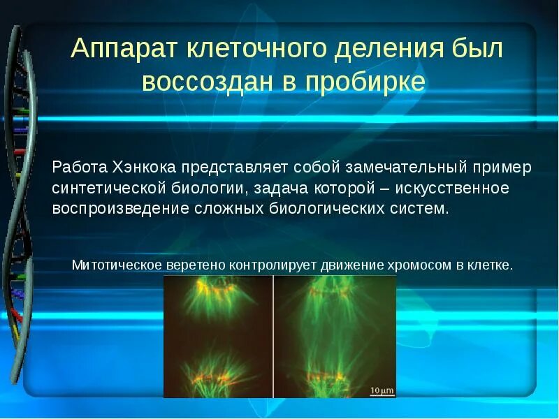 Клеточные технологии презентация. Клеточные технологии в биологии. Применение клеточных технологий. Клеточные технологии в медицине. Аппарат деления клетки