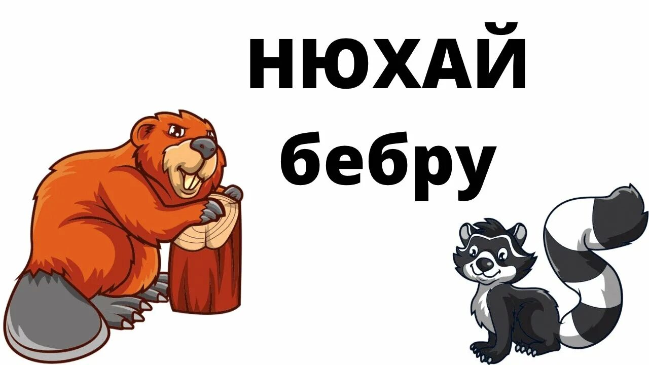 Bebra moscow. Bebra moscow. Bebra moscow. Бебра здание. Бебра.