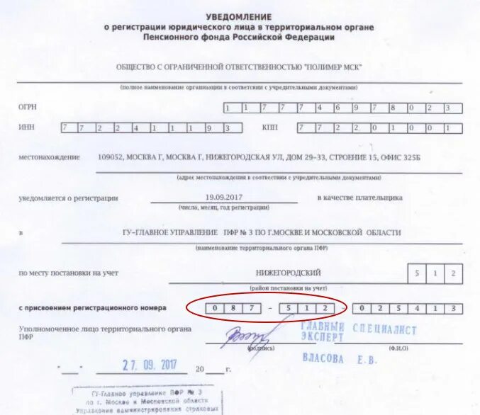 Код территориального органа. Код территориального органа ПФР. Код органа ПФР как узнать. Как узнать код территориального органа СФР. Код органа учреждения