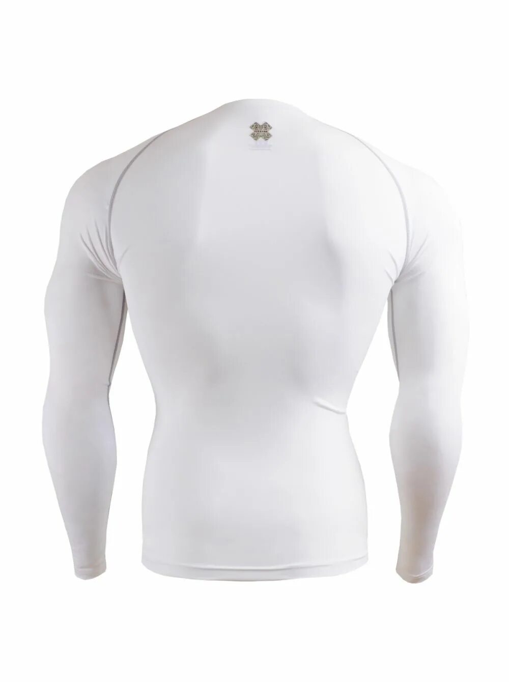 Рашгард мужской хаябуса. Рашгард для парашютного спорта. Белый рашгард женский. Fixgear рашгард белый. Рашгард с длинным рукавом 100sv pudra.