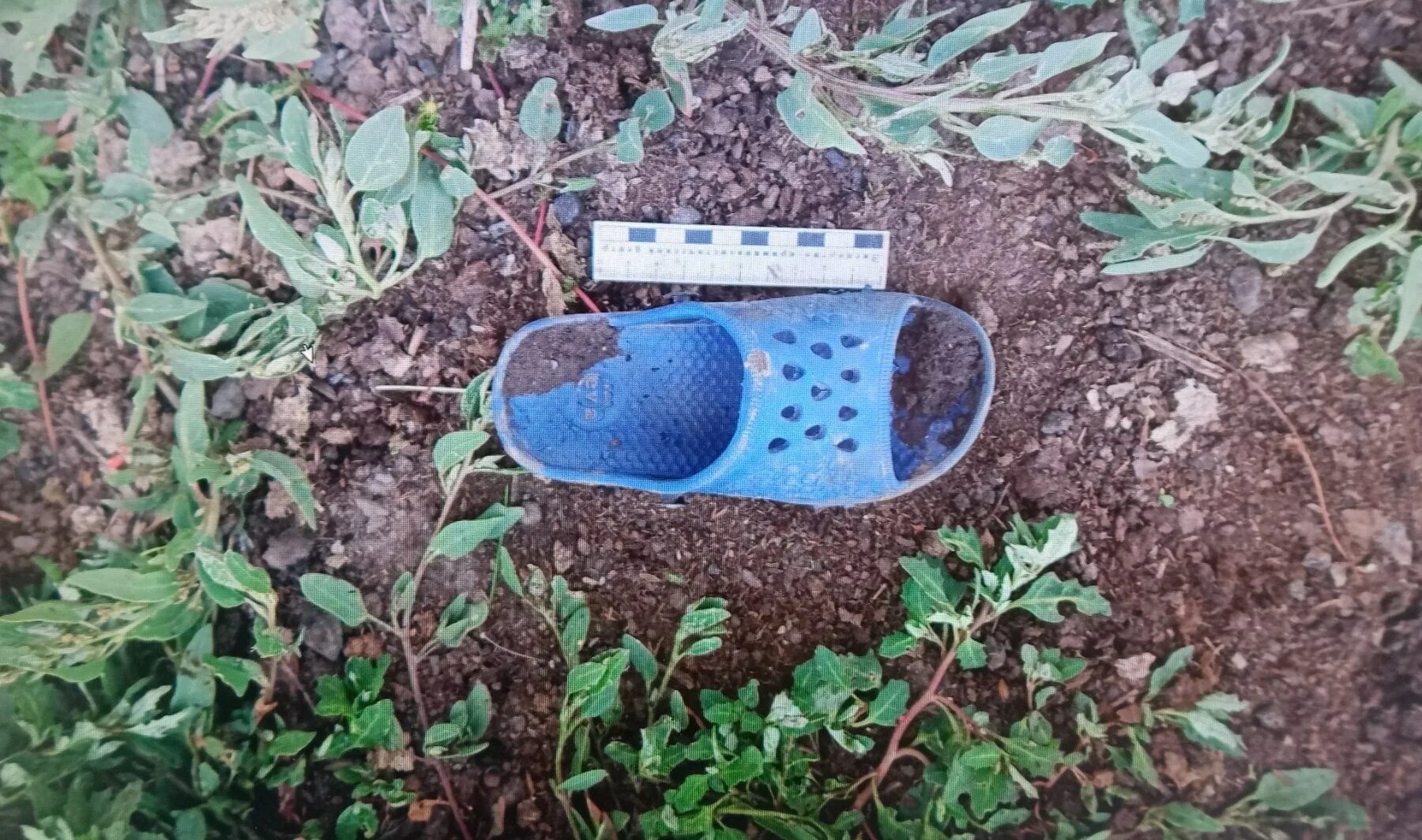 Ребенок. Пятилетний мальчик. 4 летнему мальчику пришили лицо. Нашли 4 летнего. Нашли 4 летнего.