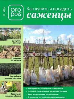 Уральский саженец
