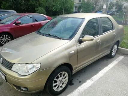2007 год золотой год