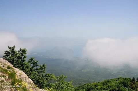 Заповедник крыма алушта