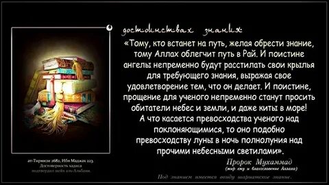 Найденные знания