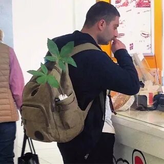 Истории без палева